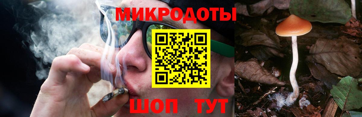 Десногорск  как найти закладки  Вход с VPN  Галлюциногенные грибы GOLDEN TEACHER  Галлюциногенные грибы прущие грибы 